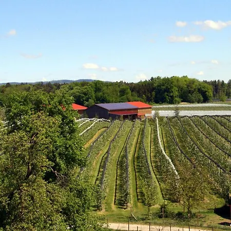 Herberg Waldvogel Ferienzimmer Klimatisiert Immenstaad am Bodensee