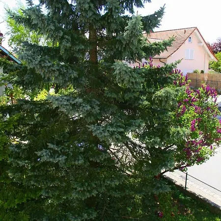 Fogadó Waldvogel Klimatisiert