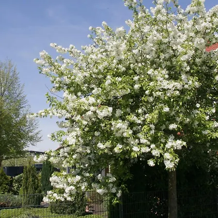 Waldvogel Klimatisiert * Immenstaad am Bodensee
