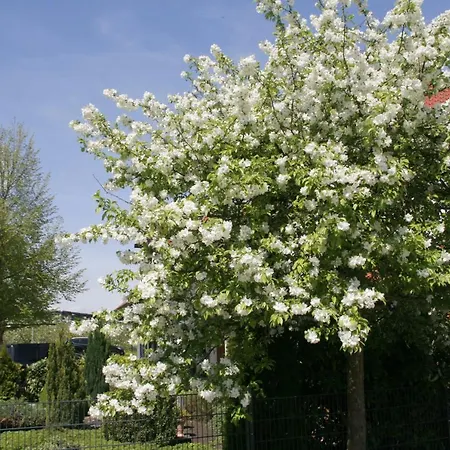 Waldvogel Ferienzimmer Klimatisiert * Immenstaad am Bodensee