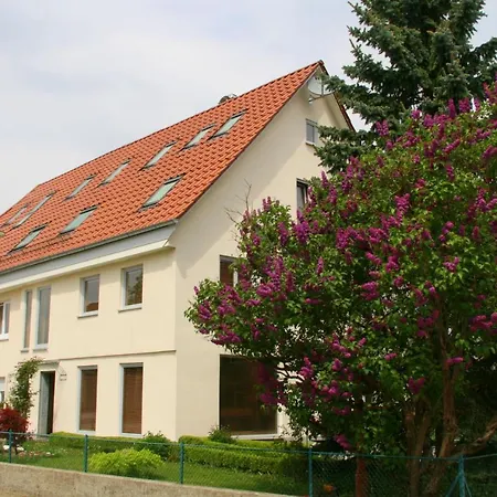 Waldvogel Klimatisiert Herberg