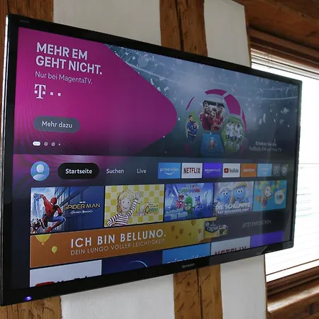 Inn Waldvogel Ferienzimmer Klimatisiert *