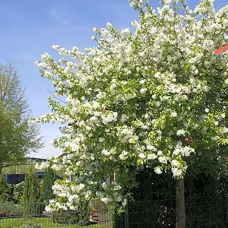 Waldvogel Klimatisiert *