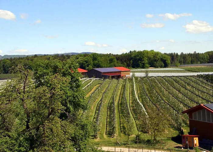 Zajazd Waldvogel Ferienzimmer Klimatisiert Immenstaad am Bodensee