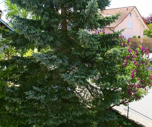 Zajazd Waldvogel Ferienzimmer Klimatisiert
