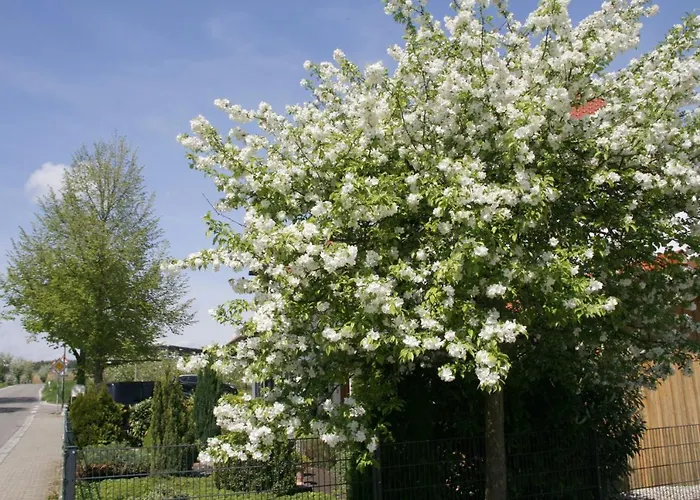 Waldvogel Ferienzimmer Klimatisiert * インメンシュタート・アム・ボーデンゼー