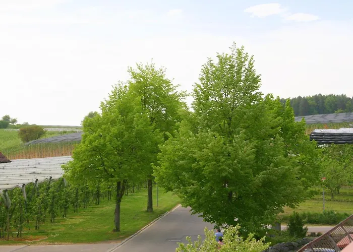 Waldvogel Ferienzimmer Klimatisiert