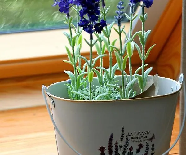 Waldvogel Ferienzimmer Klimatisiert